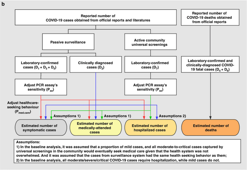 Diagrama esquemático de los análisis de referencia. Las flechas rojas, azules y verdes indican el flujo de datos desde los casos confirmados por laboratorio de la vigilancia pasiva, los casos diagnosticados clínicamente y los casos confirmados por laboratorio de los cribados activos.