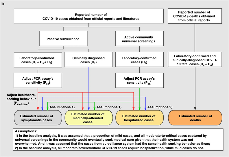 Schéma des analyses de base. Les flèches rouges, bleues et vertes indiquent le flux de données provenant des cas confirmés en laboratoire dans le cadre de la surveillance passive, des cas diagnostiqués cliniquement et des cas confirmés en laboratoire dans le cadre des dépistages actifs.