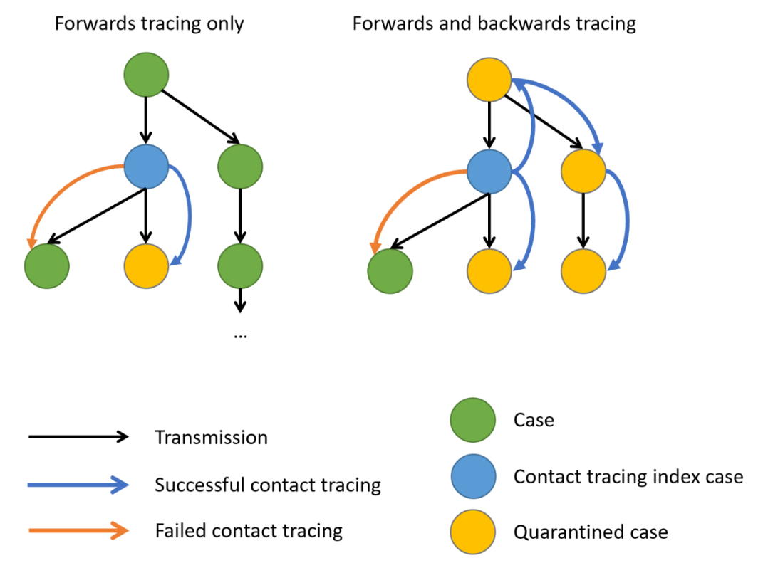 Représentation schématique des stratégies de recherche de contacts. Les flèches noires indiquent le sens de la transmission, les flèches bleues et orange indiquent respectivement une recherche de contact réussie ou échouée. Lorsqu’il existe des preuves d’une variation de la transmission au niveau individuel, entraînant souvent une superspreading, la recherche de contacts en amont du cas index (cercle bleu) augmente la probabilité de trouver le cas primaire (cercle vert) ou des grappes avec une plus grande fraction de cas, augmentant potentiellement le nombre de cas en quarantaine (cercles jaunes). Claire Blackmore, 2021