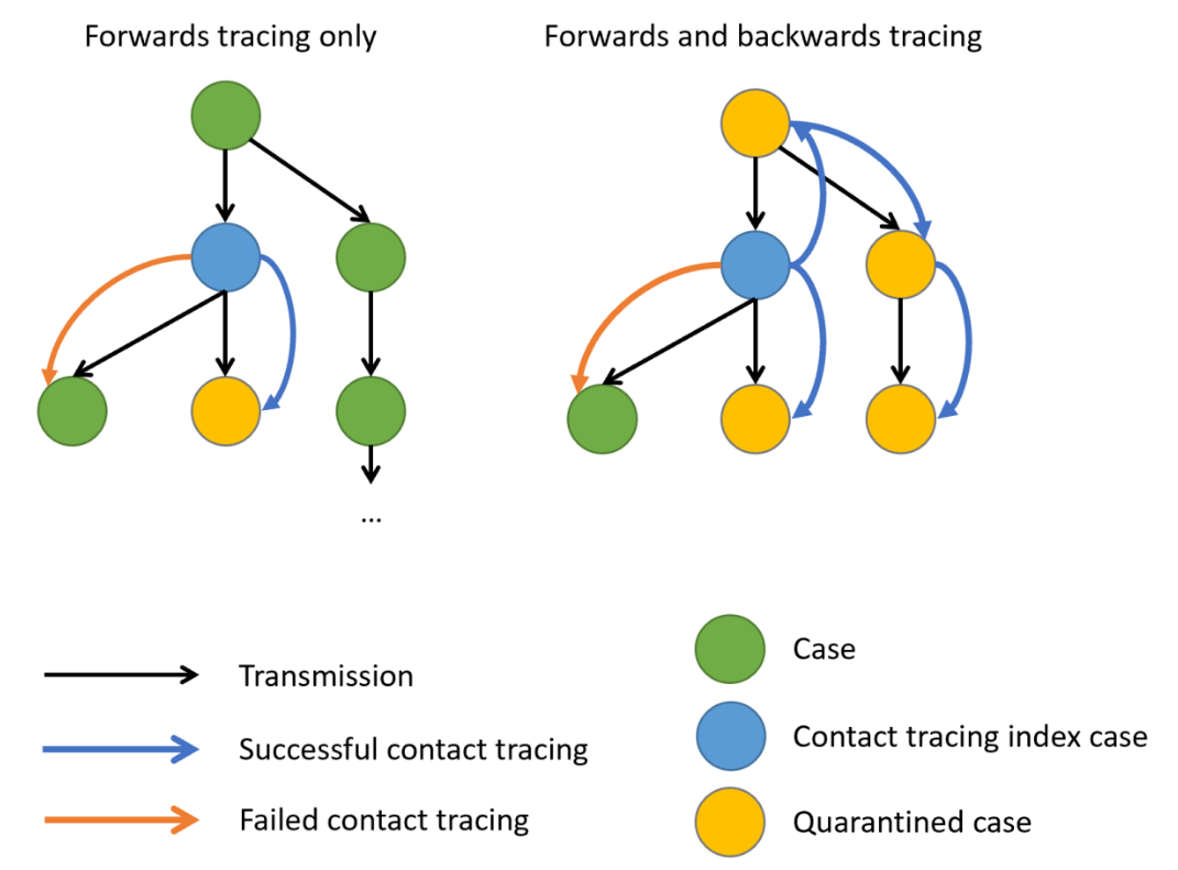 Schematic representation of contact tracing strategies. Black arrows indicate the directions of transmission, blue and Orange arrows, a successful or failed contact tracing, respectivelly. When there is evidence of individual-level variation in transmission, often resulting in superspreading, backward contact tracing from the index case (blue circle) increase the probability to find the primary case (green circle) or clusters with a larger fraction of cases, potentially increasing the number of quarentined cases (yellow circles). Claire Blackmore, 2021